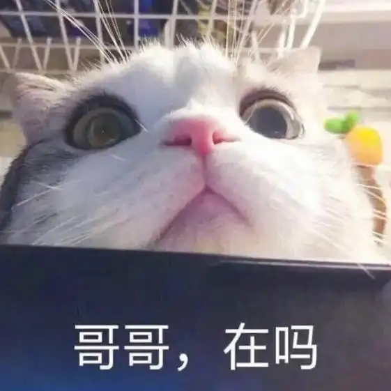  搞笑图片女生为了不跷二郎腿能有多努力这也太拼了吧,哈哈