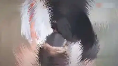  没错是我飞了tfboys王源王源王源王源王源王源roy我的