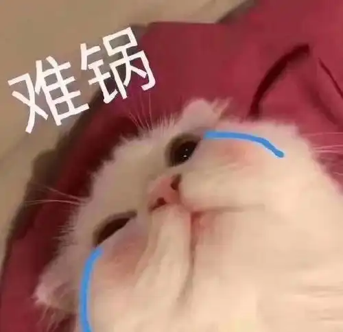  霸总变沙雕黄晓明到底经历了什么