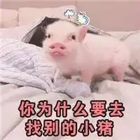  猪猪表情包你是不是在外面有别的猪了