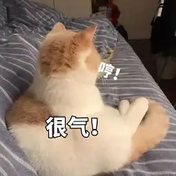  撩生气女朋友的表情包贼暖心,贼暧昧,心动的感觉