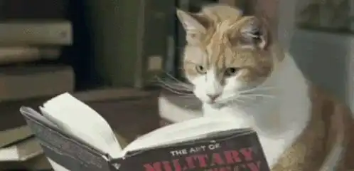 主人一家子吃饭,猫咪一脸的不爽表情笑喷了铲屎的,我的碗筷呢