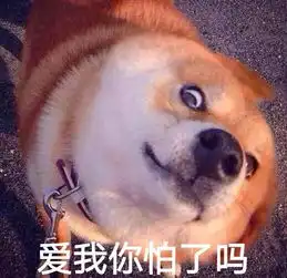  表情包爱我你怕了吗