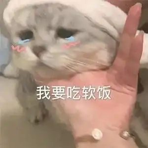  表情包沙雕表情包第八百三十三期