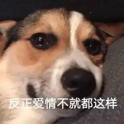  火爆全城矫牙仅需3951,种牙1750元颗金秋十月爱牙节,更享高额补助