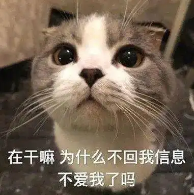  沙雕表情我心爱的狗东西在吗