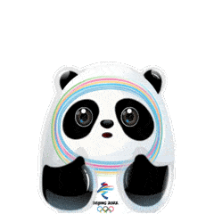 cc猫动态表情包沂南县