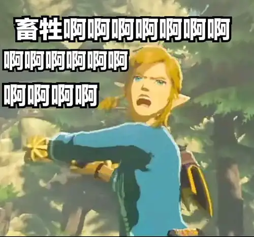  一些离谱的林克表情包塞尔达传说荒野之息