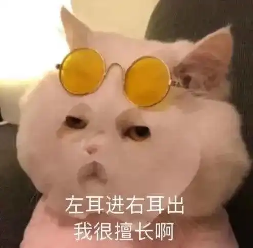  微信表情包大全2可爱沙雕又搞笑