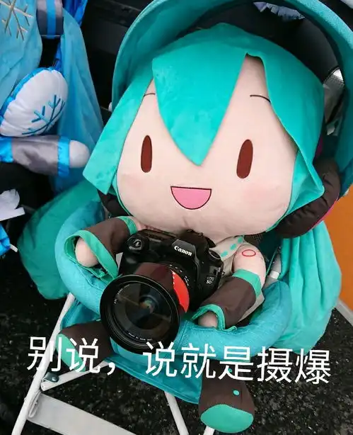  傻fufu初音表情包collection一