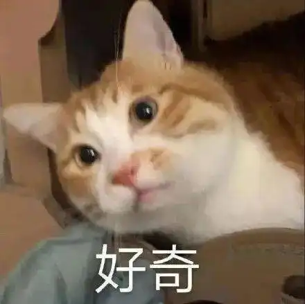 霸总表情包社会姐