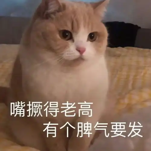  沙雕表情包我喜欢这个世界我不喜欢你