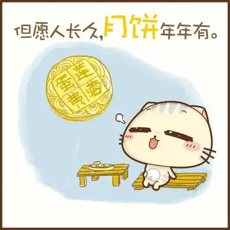  cc猫