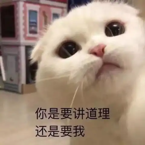 猫咪开心表情包问号