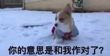  开心笑话我终于明白光头强为什么要砍树了,因为李老板家没有纸