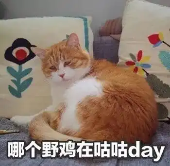  斗图小表情1.16