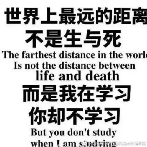 学崩溃了表情包