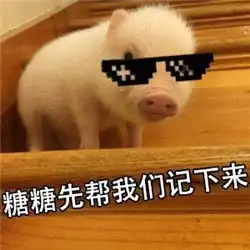  我觉得可以我觉得不行表情包我觉得ok猪猪表情包带字