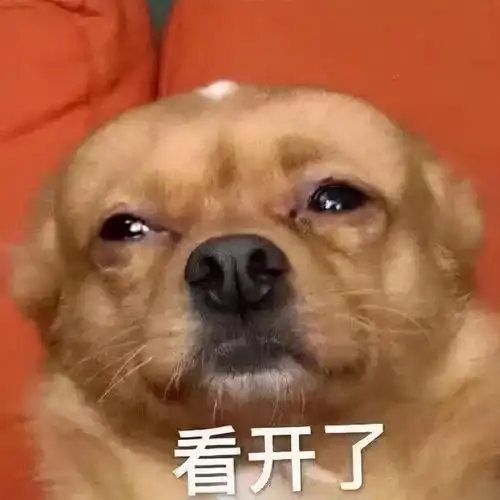  我的天才女友里的渣男图鉴