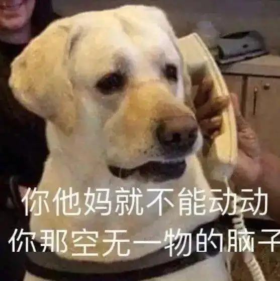  沙雕表情小老弟你有点皮