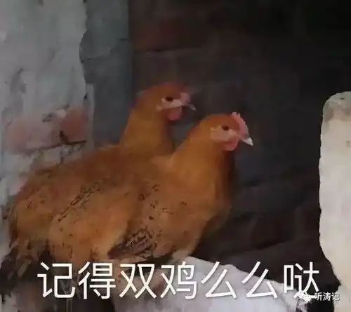  c心形代码情人节,用代码比个心