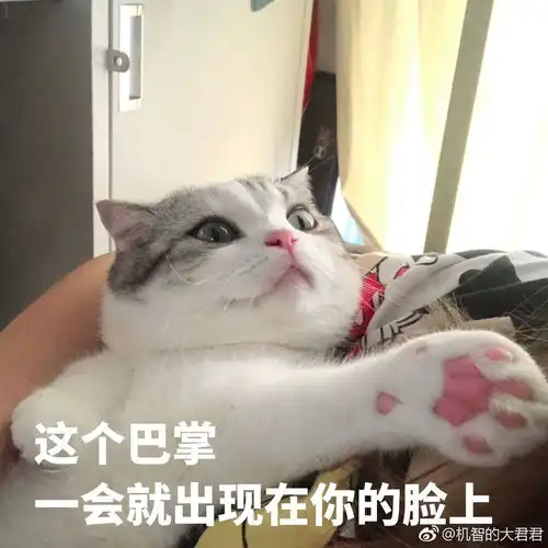  这个猫猫的表情包太可爱了谁有这只猫的表情包吗万分感谢