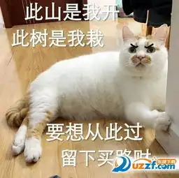 网红猫表情包虐待