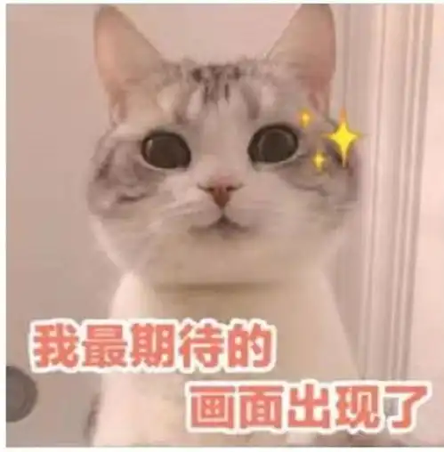  情感我的爸妈不懂我的表情包
