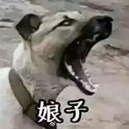  羡慕这种简简单单的爱情田朴珺发文表白王石