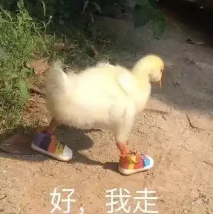  可爱鸭鸭表情包宝贝,入我怀