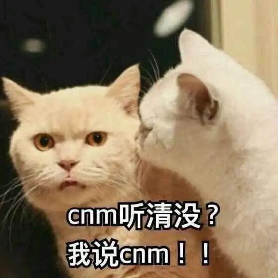  聊天表情包拿图片没事,继续说,我没生气啊