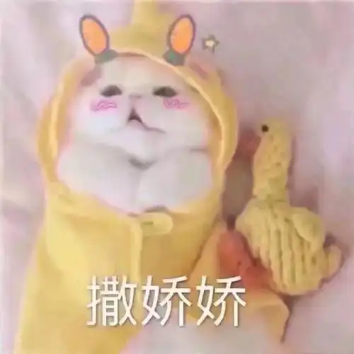  魔兽世界中最应该感激的五大事物