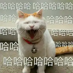 笑死我了的表情包哈哈哈