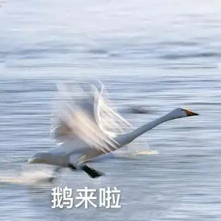 惊掉一地眼球表情包