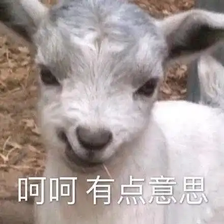  爱国表情包不用问了,无所谓,也有点累,有点意思