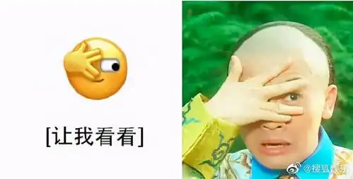 表情包搞笑微信五阿哥