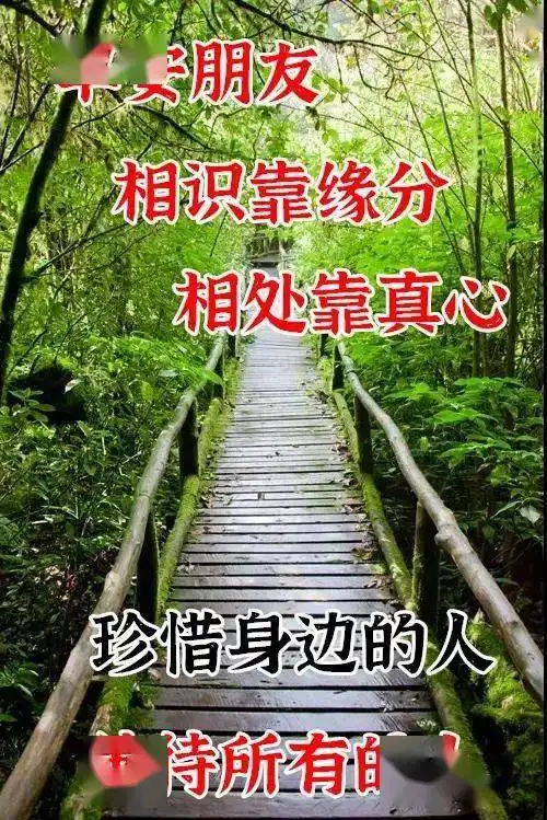 伸懒腰表情包可爱gif题