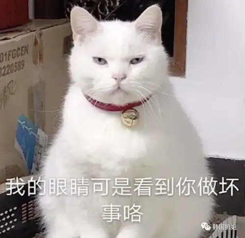  喷盐水买神符,这些韩国防毒偏方太害人