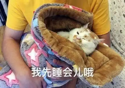  那只用表情入侵地球的网红猫,今天终于要回喵星了