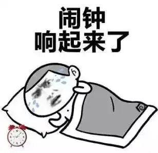  悄悄地义乌已经入春,听说倒春寒已经在路上了