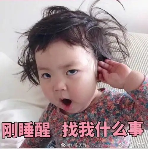  广东天气实况