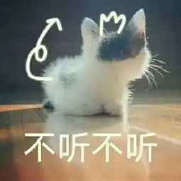  召唤不是dva咯真是的大灰很和小白免哔哩哔哩直播