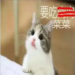  我们又该踏上学习的征程啦