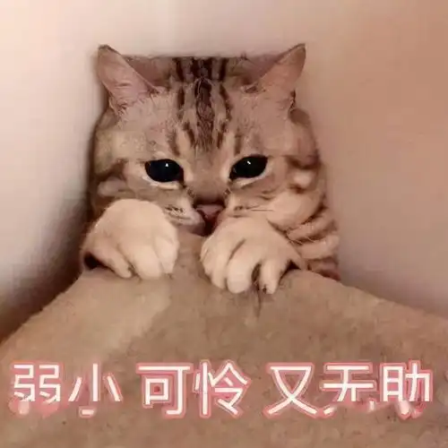  他6岁吞下哨子,隐瞒全家20年,为什么有些孩子出事宁愿忍着