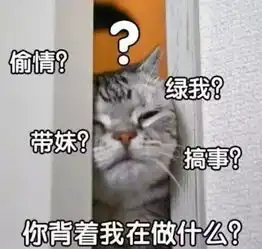  斗图日常算命10块,你算什么东西