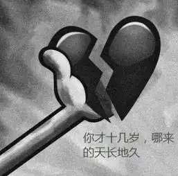  输得彻底背景图我们的故事以我的打扰开始,以我的多余结束