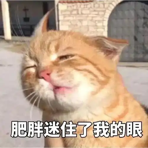  聊天必备的沙雕表情包