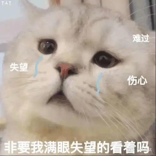 早啊表情包可爱咆哮