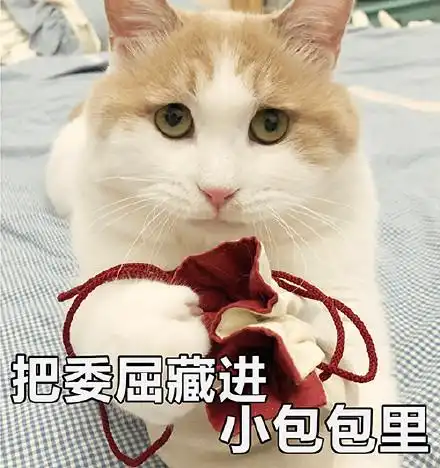  猫咪表情包没人疼,没人爱,我是地里的小白菜