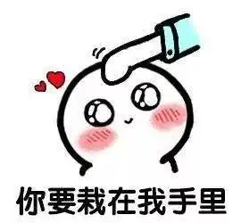  力荐南宁青瓦房出新玩意,七夕带ta来个浪漫水上之游必是极好